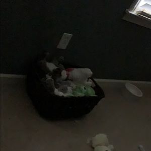 Meet your Posher, Renee